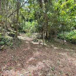 Land For Sale Phuket Town 