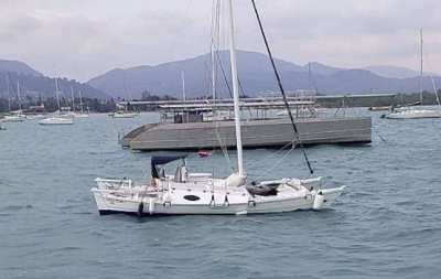 Wharram Tiki 26 Catamaran (2009). Price reduced 