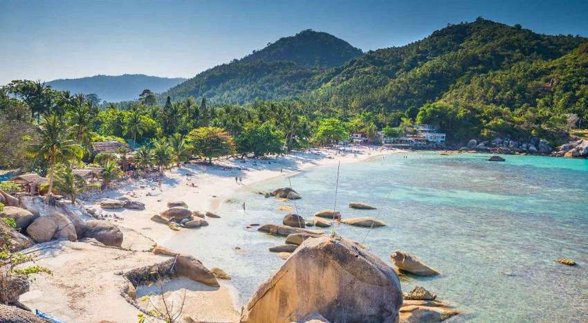 Koh Samui Travel Guide Business