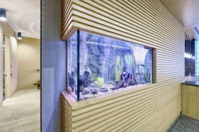 Custom Aquarium Design & Installation