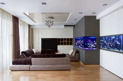 Custom Aquarium Design & Installation