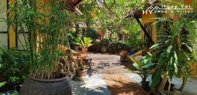 #3137 An oasis in the city. Character house in large walled garden