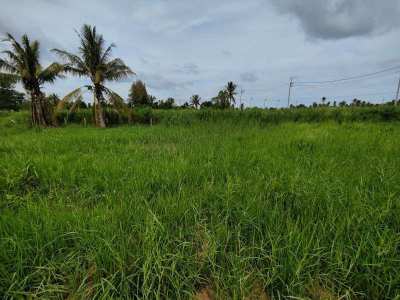 Affordable 1 Rai Home Building Plot Fast Growing Home Development Area