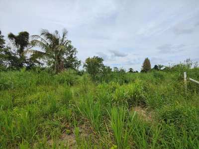 Hot! 1-0-0 Rai Home Building Plot - Only 10 Min to Hua Hin City Center