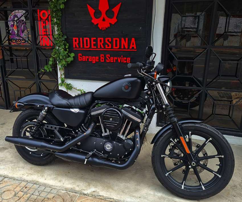 Harley Davidson Sportster Iron 883 / Year 2022