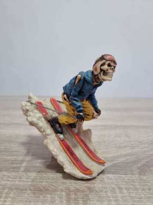 Fantastic figure of skull face skiing 7