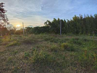 200 TW Filled Home Plot Near Black Mountain Golf - Ready to Build On!