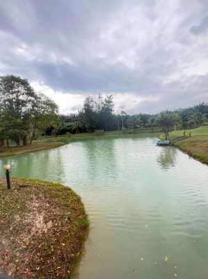 Land with 3 houses and fishing lake 