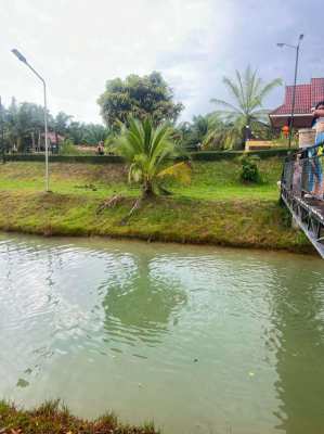 Land with 3 houses and fishing lake 