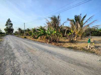 Hot! 5 Rai Coconut Plantation - Located Between Hua Hin and Pranburi