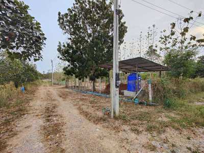 4-1-62 Rai Located West of Hua Hin Bypass - Quiet Farming Community