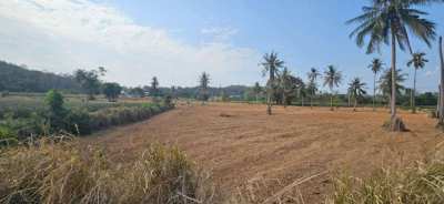 #1125-2    Well priced road fronting hillside 2rai plots.