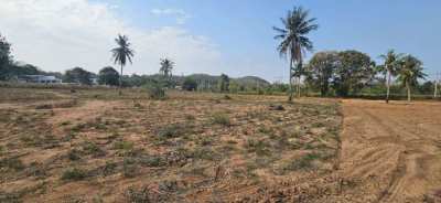 #1125-2    Well priced road fronting hillside 2rai plots.