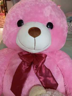 Extra large teddy bear for sale ขายตุ๊กตาหมี 