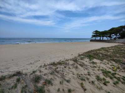 5-1-31 Rai Best & Least Expensive Absolute Beachfront Land in Khao Tao