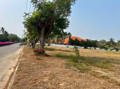 Palm Hills: 4,800 sqm Land Plot