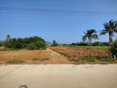 2-3-83 Rai Corner Plot - 70 Meters Government Cement Road Frontage  