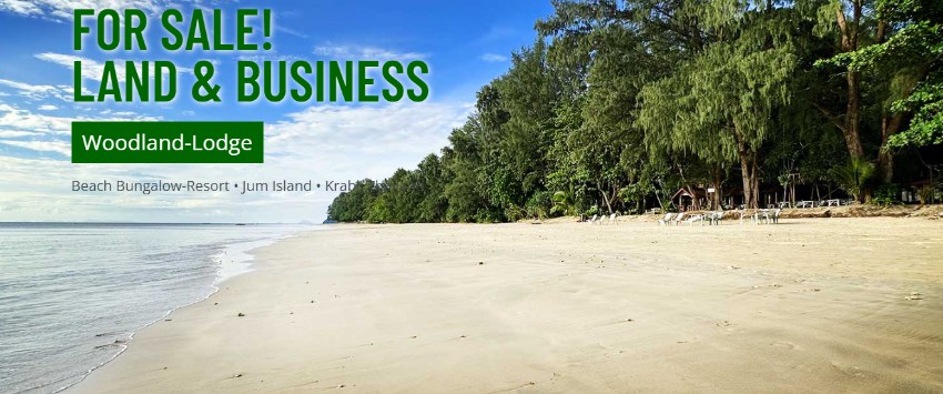 Beachfront Land and Business for sale!