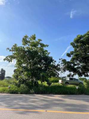 Land For sale , Khon Kaen 397 Sqw 