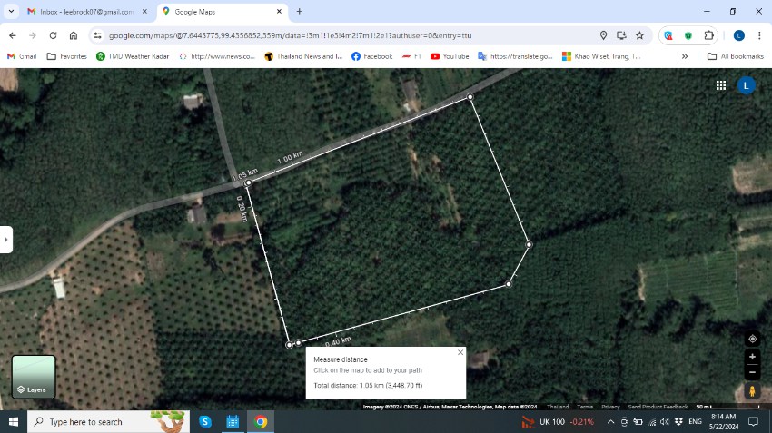 Farm Land 29 Rai with rubber and new  palm oil Reduced Price