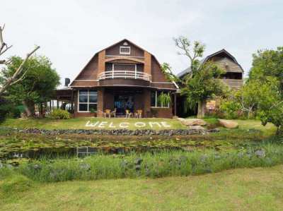  Buriram Business and land for sale (Coffee & Restaurant).