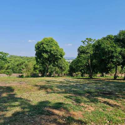 Exclusive Land Plots Presently Available for Purchase