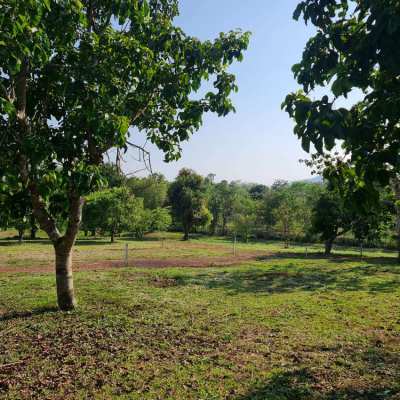 Exclusive Land Plots Presently Available for Purchase