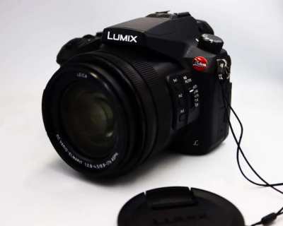 Panasonic DMC-FZ2500, ideal hybrid camera 