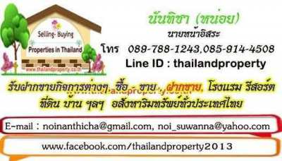 Beautiful plot of large land for sale Sattahip city