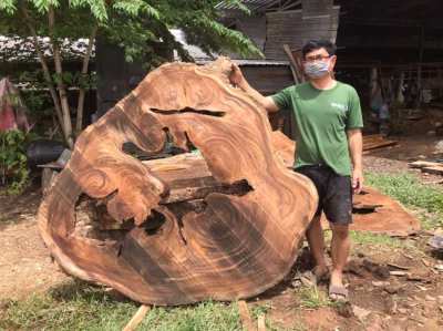 NO .33  Huge New Solid acacia log coffee table unique and beautiful 