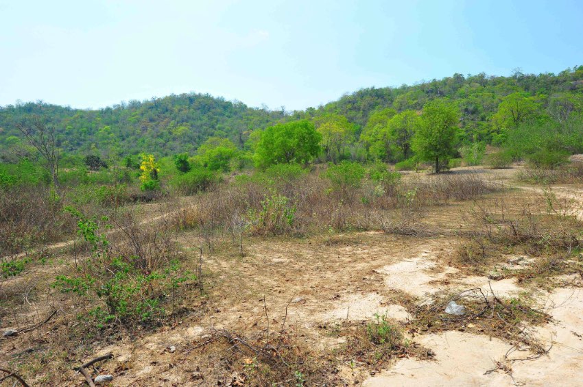 Great Land for sale in Hua Hin
