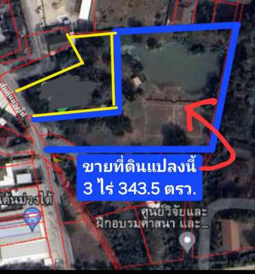 Land for sale, good location near the market Bo Sang, San Kamphaeng