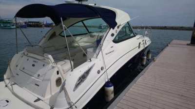 2011 SeaRay Sundancer 305