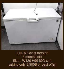 DN-07 Chest freezer