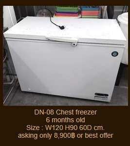 DN-08 Chest freezer