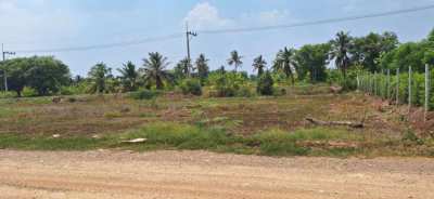 1 Rai Land in Pathum Thani for Sale