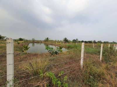 3 Rai Land in Nakhon Pathom for Sale