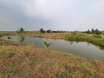 3 Rai Land in Nakhon Pathom for Sale