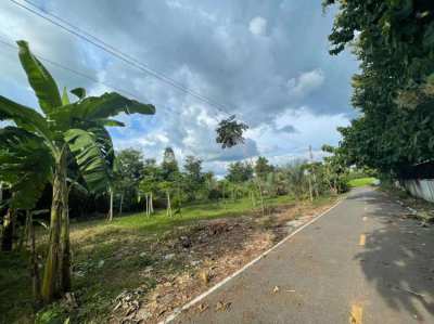 400 Sqm Land in Nong Bua Lam Phu for Sale