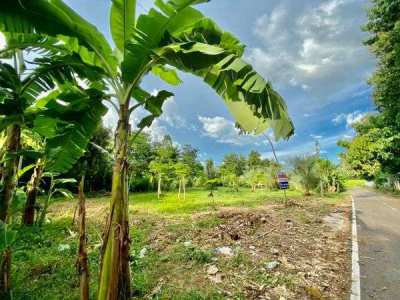 400 Sqm Land in Nong Bua Lam Phu for Sale