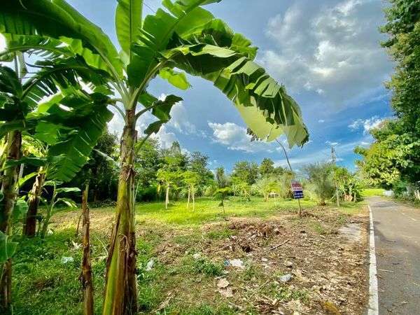 400 Sqm Land in Nong Bua Lam Phu for Sale
