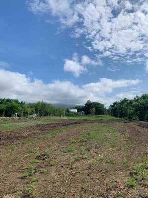 Land for Sale in Chiang Mai