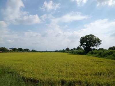 3 Rai Land in Nakhon Pathom for Sale