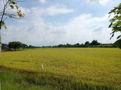 3 Rai Land in Nakhon Pathom for Sale