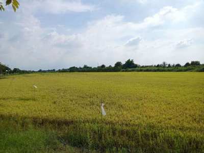 3 Rai Land in Nakhon Pathom for Sale