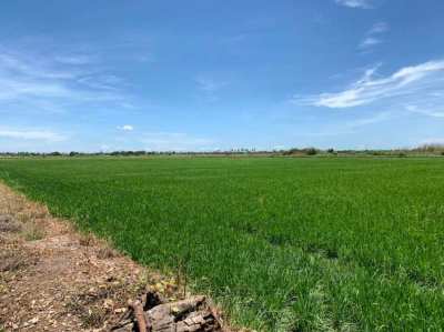 13 Rai of Land in Nakhon Pathom for Sale