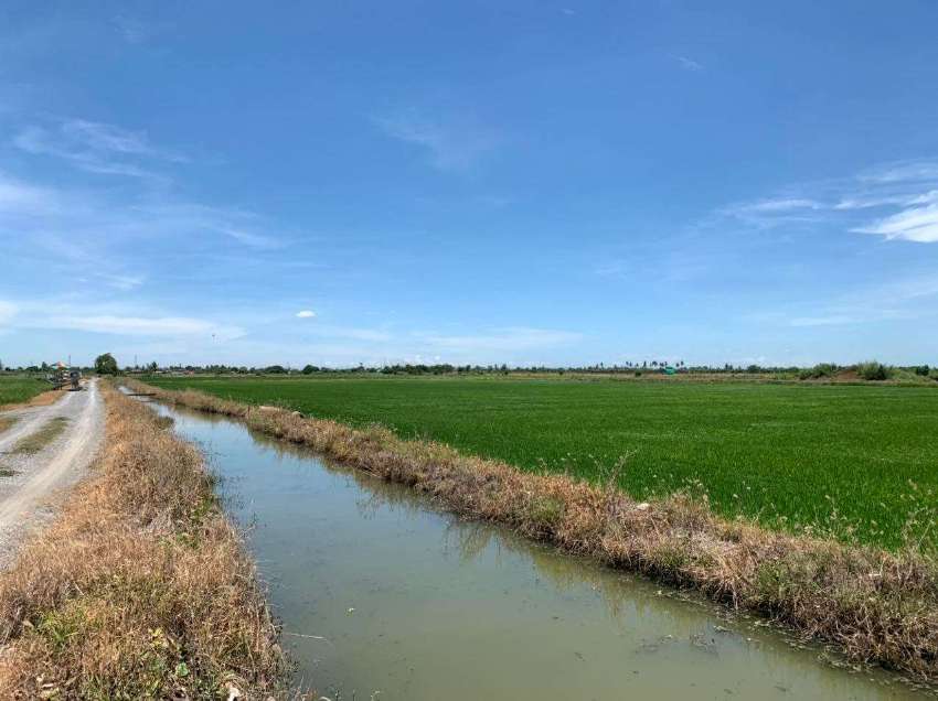 13 Rai of Land in Nakhon Pathom for Sale