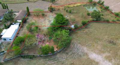 Land for sale in Sisaket