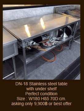 DN-18 stainless steel table with under shelf