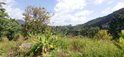 HIGHLY DISCOUNTED.PARTLY SEA VIEW LAND FOR SALE IN LAMAI. 